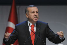 Pobegao Erdoganov sin Pobegao Erdoganov sin
