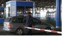 Zeplenjena tona marihuane Zeplenjena tona marihuane