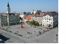 Novi Sad- prestonica kulture? Novi Sad- prestonica kulture?