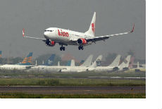 Avion udario kravu Avion udario kravu